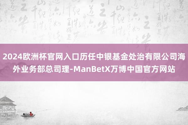 2024欧洲杯官网入口历任中银基金处治有限公司海外业务部总司理-ManBetX万博中国官方网站