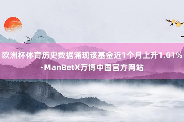 欧洲杯体育历史数据涌现该基金近1个月上升1.01%-ManBetX万博中国官方网站