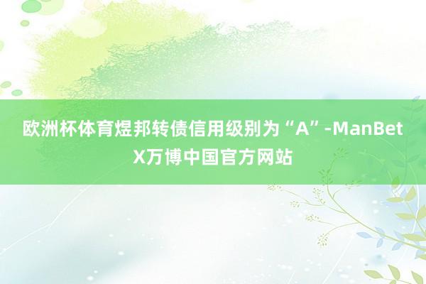 欧洲杯体育煜邦转债信用级别为“A”-ManBetX万博中国官方网站