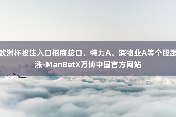 欧洲杯投注入口招商蛇口、特力A、深物业A等个股跟涨-ManBetX万博中国官方网站