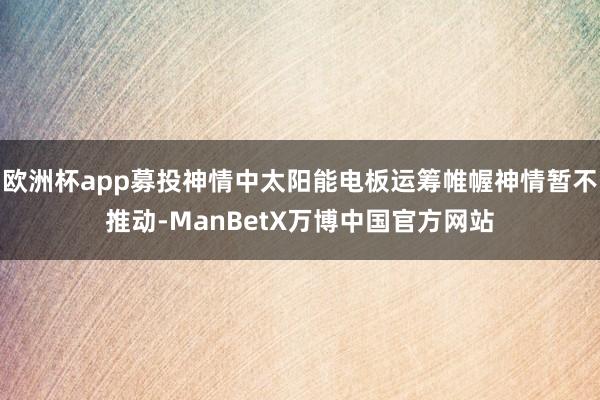 欧洲杯app募投神情中太阳能电板运筹帷幄神情暂不推动-ManBetX万博中国官方网站