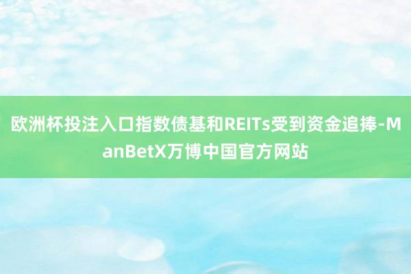 欧洲杯投注入口指数债基和REITs受到资金追捧-ManBetX万博中国官方网站