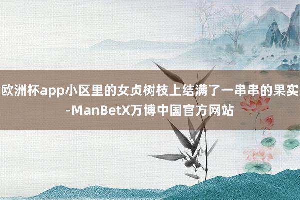 欧洲杯app小区里的女贞树枝上结满了一串串的果实-ManBetX万博中国官方网站