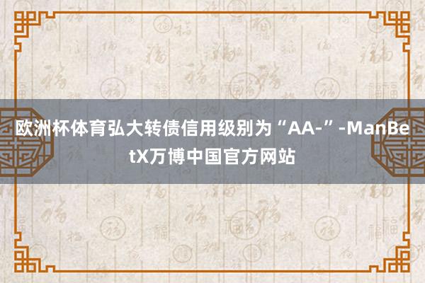 欧洲杯体育弘大转债信用级别为“AA-”-ManBetX万博中国官方网站