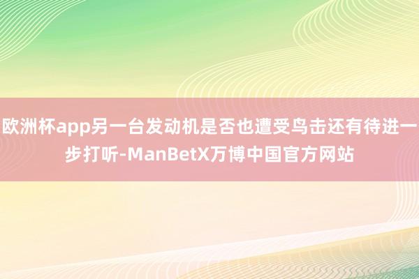 欧洲杯app另一台发动机是否也遭受鸟击还有待进一步打听-ManBetX万博中国官方网站