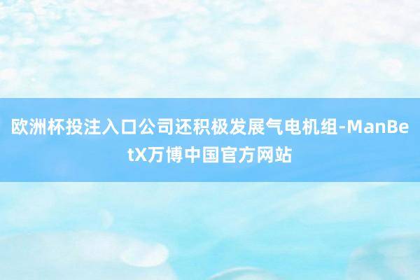 欧洲杯投注入口公司还积极发展气电机组-ManBetX万博中国官方网站