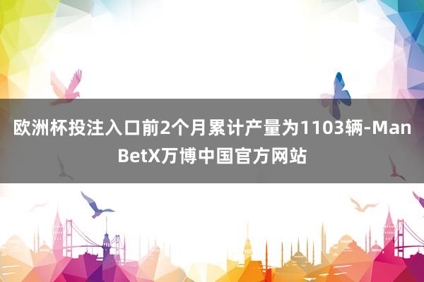 欧洲杯投注入口前2个月累计产量为1103辆-ManBetX万博中国官方网站