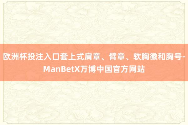 欧洲杯投注入口套上式肩章、臂章、软胸徽和胸号-ManBetX万博中国官方网站