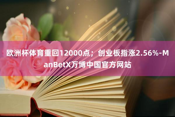 欧洲杯体育重回12000点；创业板指涨2.56%-ManBetX万博中国官方网站