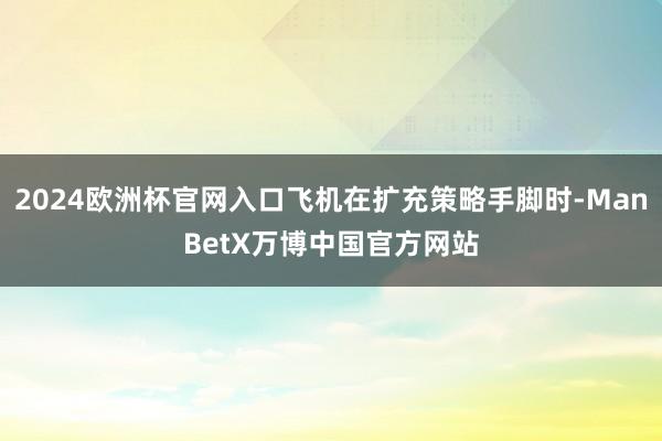 2024欧洲杯官网入口飞机在扩充策略手脚时-ManBetX万博中国官方网站