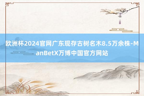 欧洲杯2024官网广东现存古树名木8.5万余株-ManBetX万博中国官方网站