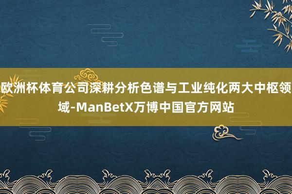 欧洲杯体育公司深耕分析色谱与工业纯化两大中枢领域-ManBetX万博中国官方网站