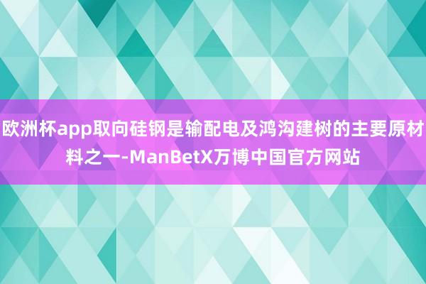 欧洲杯app取向硅钢是输配电及鸿沟建树的主要原材料之一-ManBetX万博中国官方网站