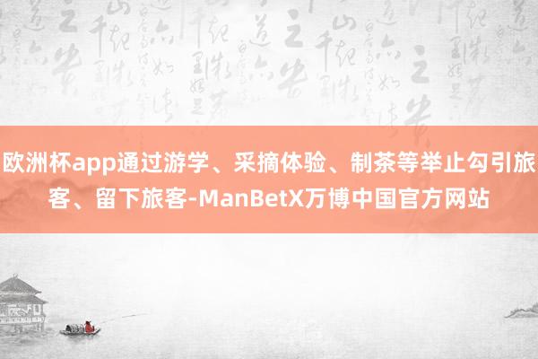 欧洲杯app通过游学、采摘体验、制茶等举止勾引旅客、留下旅客-ManBetX万博中国官方网站