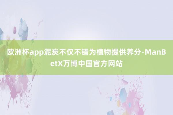 欧洲杯app泥炭不仅不错为植物提供养分-ManBetX万博中国官方网站
