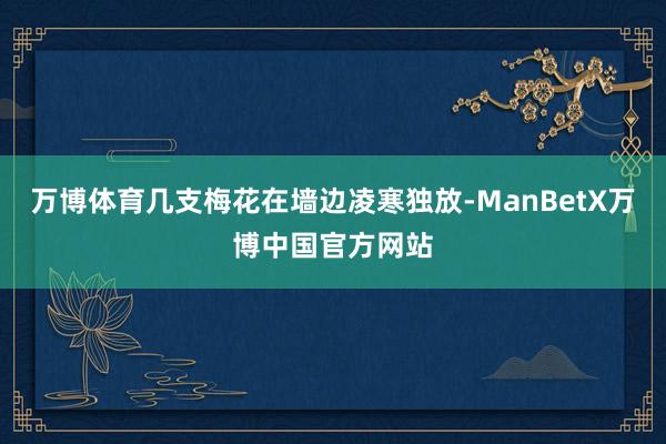 万博体育几支梅花在墙边凌寒独放-ManBetX万博中国官方网站