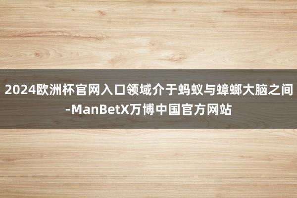 2024欧洲杯官网入口领域介于蚂蚁与蟑螂大脑之间-ManBetX万博中国官方网站