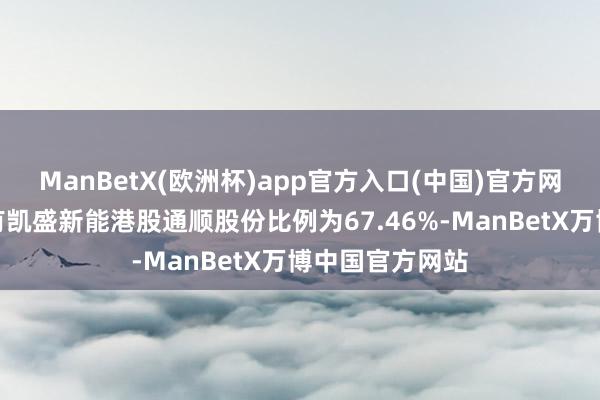 ManBetX(欧洲杯)app官方入口(中国)官方网站南向资金抓有凯盛新能港股通顺股份比例为67.46%-ManBetX万博中国官方网站