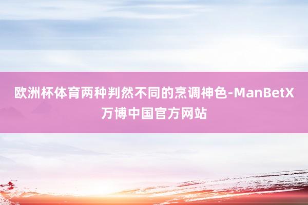 欧洲杯体育两种判然不同的烹调神色-ManBetX万博中国官方网站