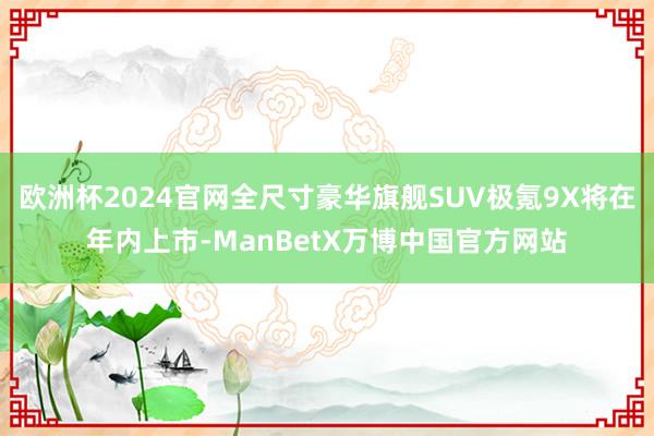 欧洲杯2024官网全尺寸豪华旗舰SUV极氪9X将在年内上市-ManBetX万博中国官方网站