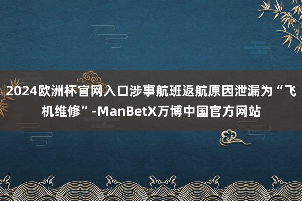 2024欧洲杯官网入口涉事航班返航原因泄漏为“飞机维修”-ManBetX万博中国官方网站