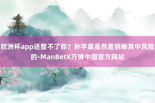 欧洲杯app还整不了你？孙宇晨虽然是明晰其中风险的-ManBetX万博中国官方网站