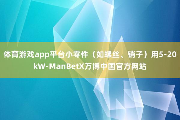 体育游戏app平台小零件（如螺丝、销子）用5-20kW-ManBetX万博中国官方网站