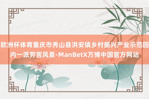 欧洲杯体育重庆市秀山县洪安镇乡村振兴产业示范园内一派劳苦风景-ManBetX万博中国官方网站